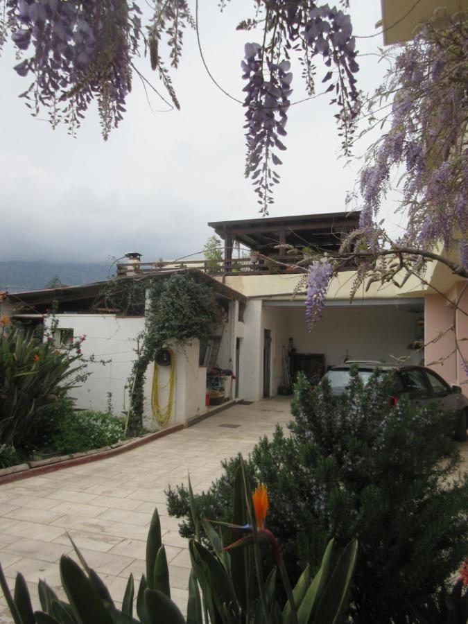 Su Pasu B&B Orosei Dış mekan fotoğraf